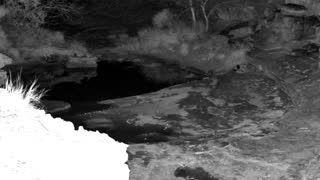 Still 2 from this detection