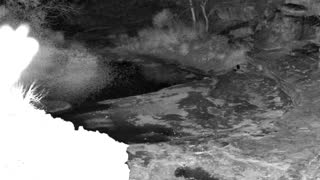 Still 2 from this detection
