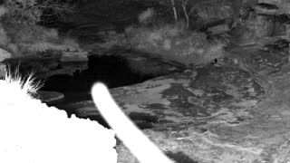 Still 2 from this detection