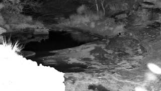 Still 1 from this detection