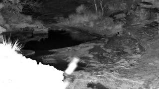 Still 2 from this detection