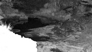 Still 2 from this detection