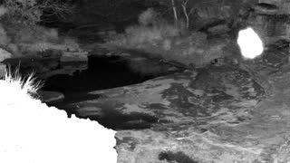 Still 1 from this detection