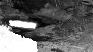 Still 2 from this detection