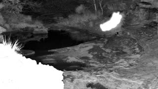 Still 1 from this detection