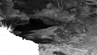 Still 3 from this detection