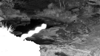 Still 2 from this detection
