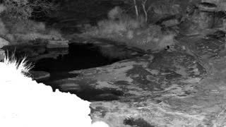 Still 1 from this detection