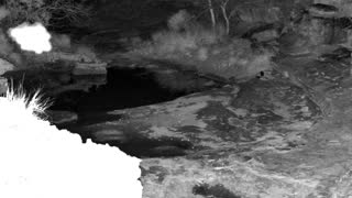 Still 2 from this detection