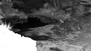 Still 3 from this detection