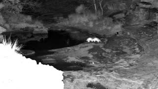 Still 3 from this detection