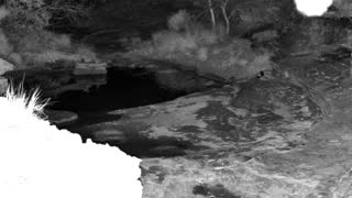 Still 2 from this detection