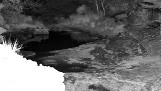 Still 2 from this detection