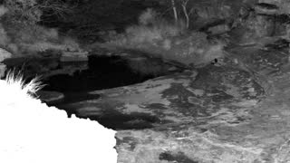 Still 1 from this detection
