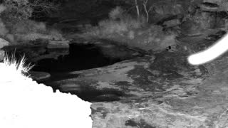 Still 2 from this detection