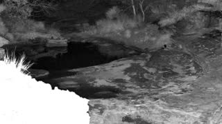 Still 1 from this detection
