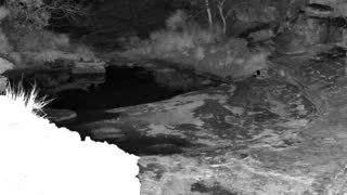 Still 3 from this detection
