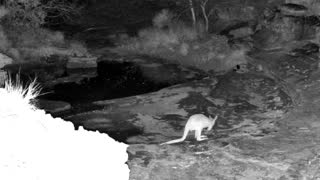 Still 3 from this detection