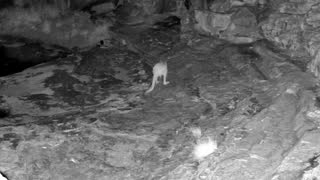 Still 1 from this detection