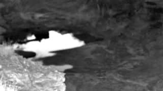 Still 1 from this detection
