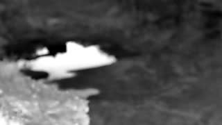 Still 2 from this detection