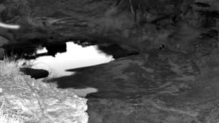 Still 2 from this detection
