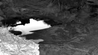 Still 1 from this detection