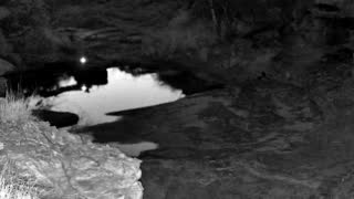 Still 2 from this detection