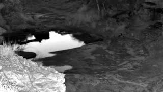Still 2 from this detection