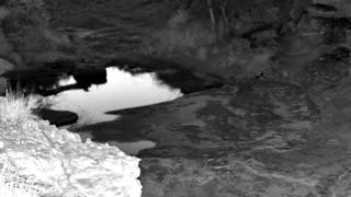 Still 2 from this detection