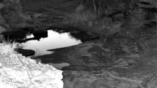 Still 3 from this detection