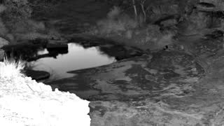 Still 1 from this detection