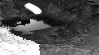 Still 2 from this detection