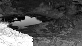 Still 3 from this detection