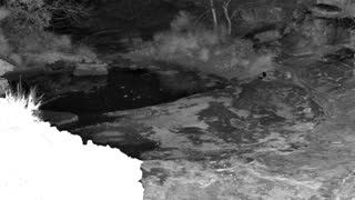 Still 1 from this detection