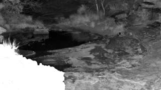 Still 1 from this detection