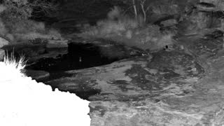 Still 1 from this detection