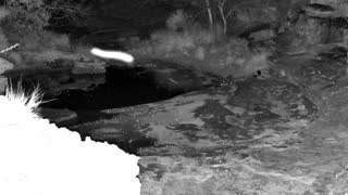 Still 1 from this detection