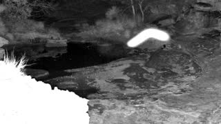 Still 1 from this detection