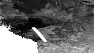 Still 1 from this detection
