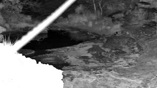 Still 2 from this detection