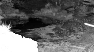 Still 2 from this detection