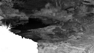 Still 2 from this detection