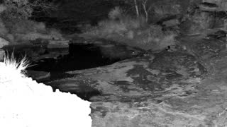 Still 2 from this detection