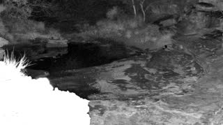 Still 2 from this detection