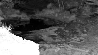 Still 3 from this detection