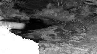 Still 2 from this detection