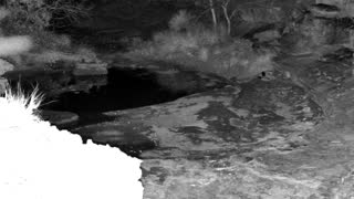 Still 1 from this detection