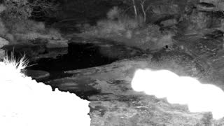 Still 2 from this detection