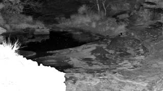 Still 3 from this detection